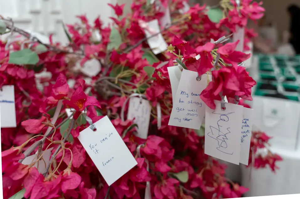 DHCC LAUNCHES CANCER AWARENESS SEASON 2025
